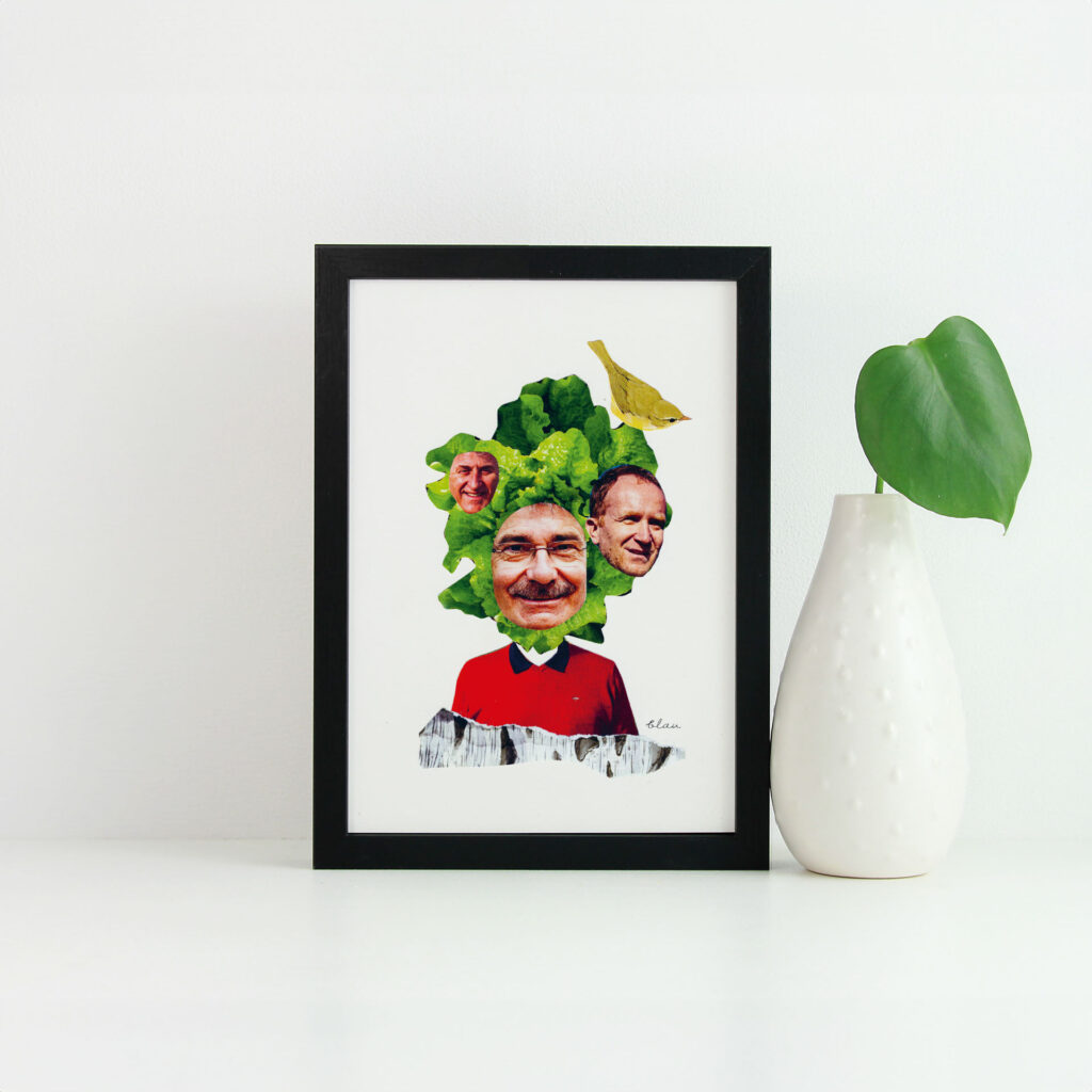 Salatkopf - A5 Kunstdruck