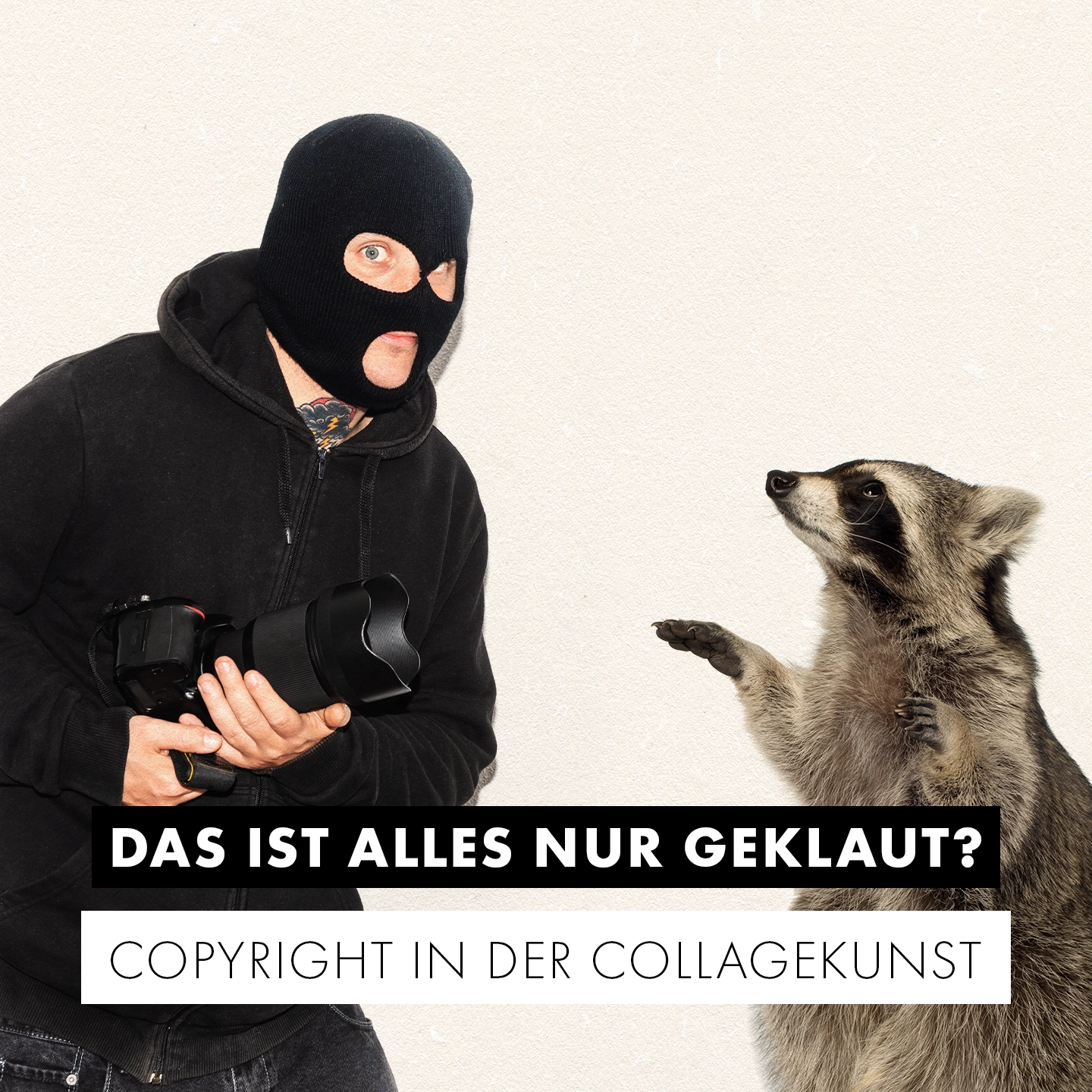 Räuber mit schwarzer Wollmaske und Spiegelrelexkamera steht einem Waschbären gegenüber.