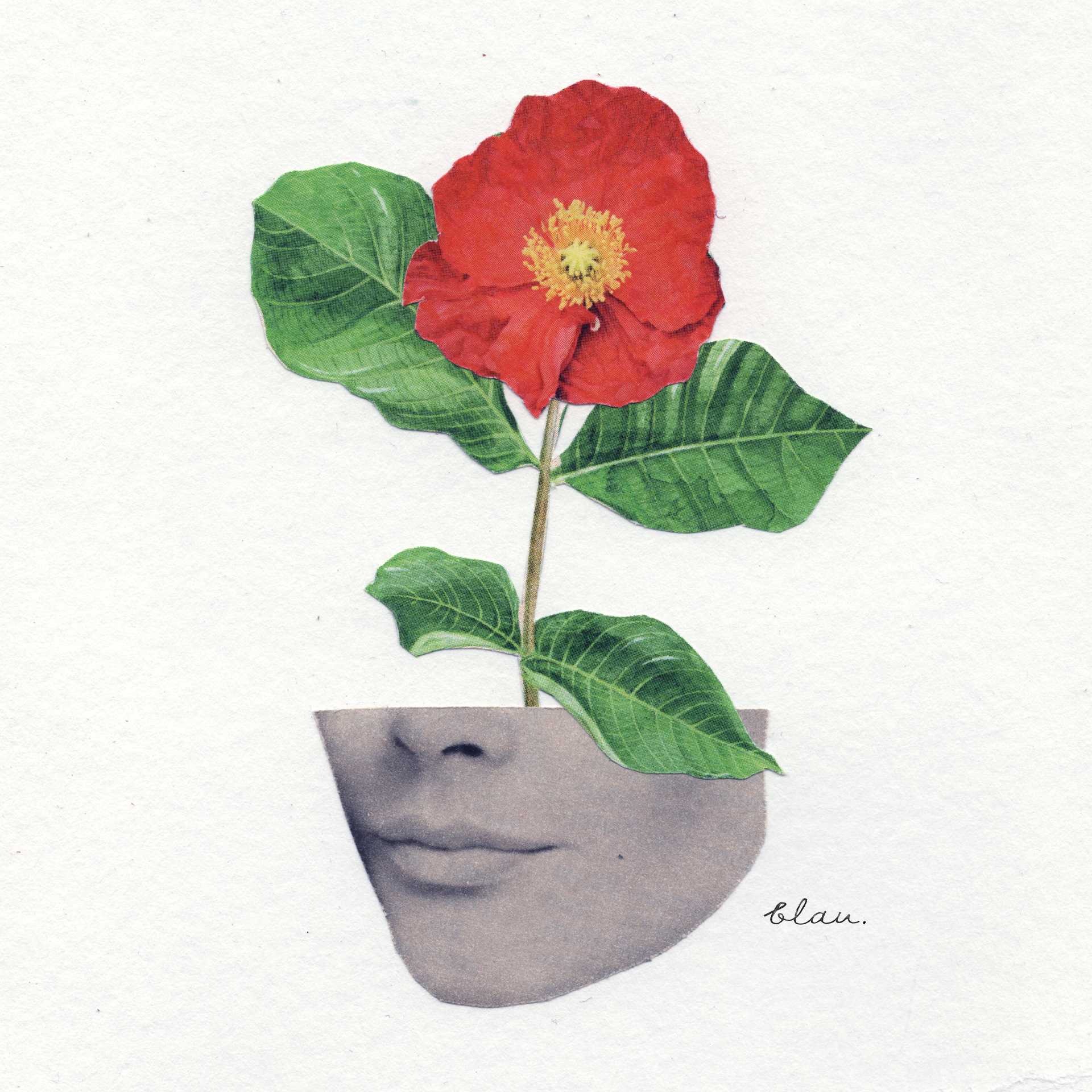 Es blüht! | Meetup #27 | 14.05.2025 – Bild 6