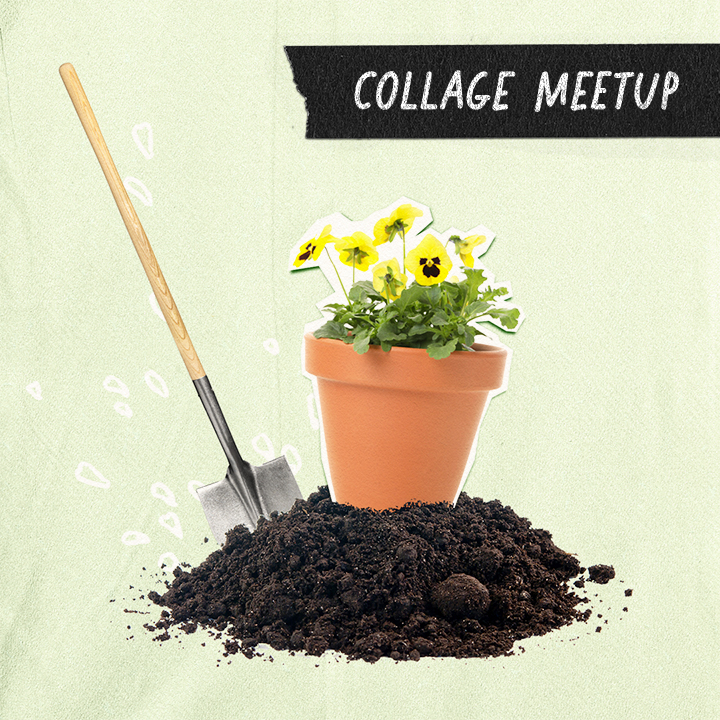 Es blüht! | Meetup #27 | 14.05.2025