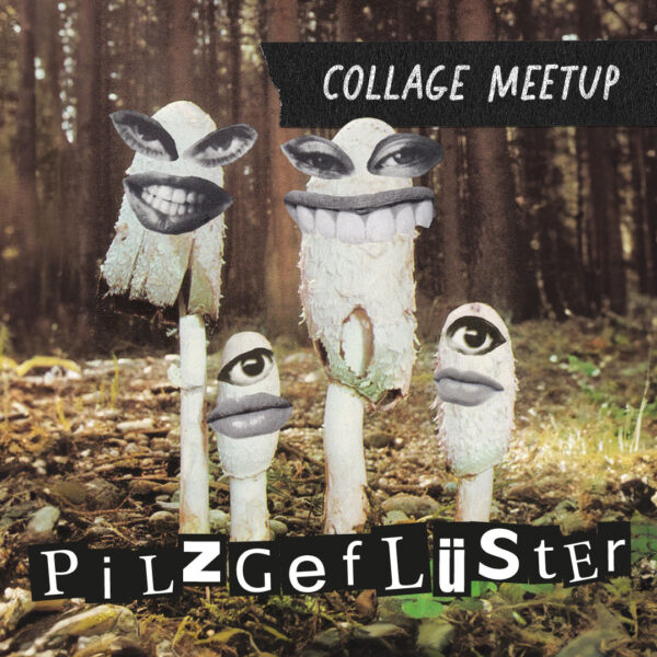 Pilzgeflüster | Meetup #31 | 10.09.2025